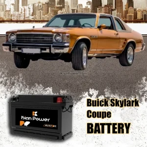 شاخص-Buick-Skylark-Coupe